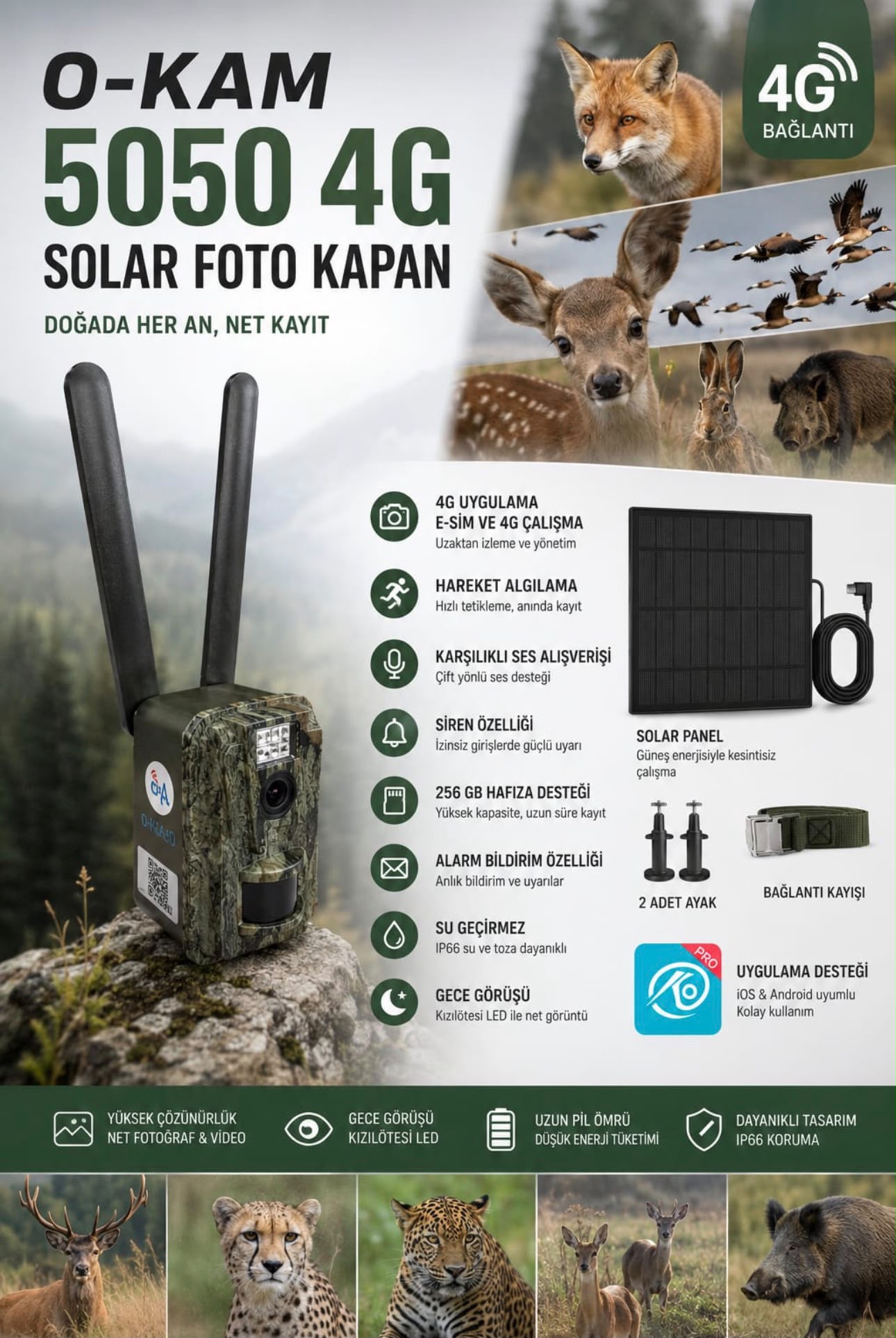 O-Kam 5050 4G Güneş Enerjili Foto Kapan